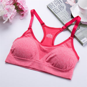 The Maria Sports Bra